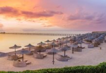 Things To Do In Marsa Alam: A Complete Travel Guide to Egypt’s Red Sea Paradise